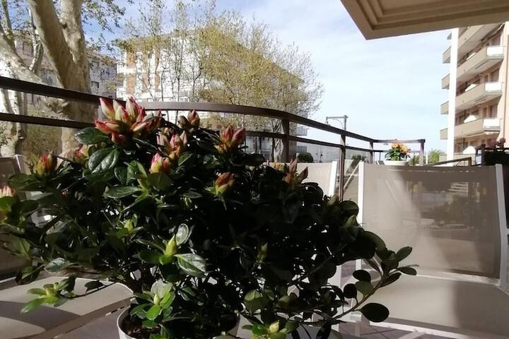 Terrace/Patio 20 of 59