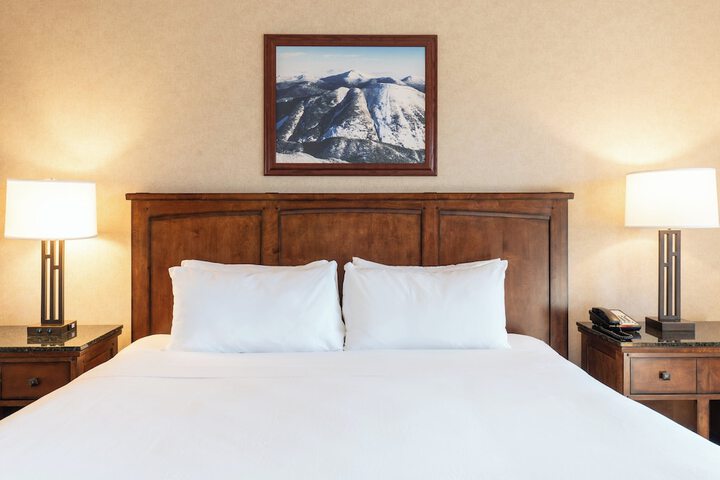 Standard King Bed Lake View Sofa (7 of 22)