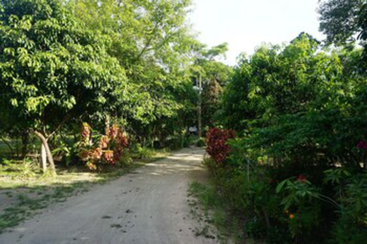 Property Grounds 9 of 20