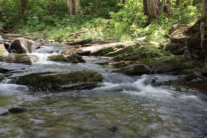 Property Grounds 102 of 120