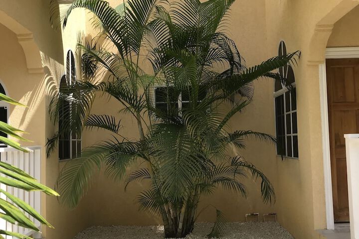 Hotel 62 of 66