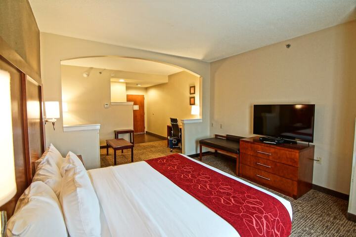 1 King Bed Suite (8 of 25)