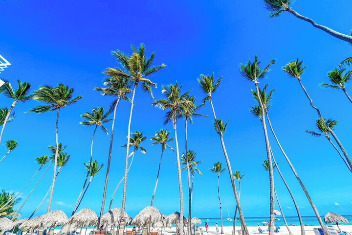BEACH FUN AND LIFE