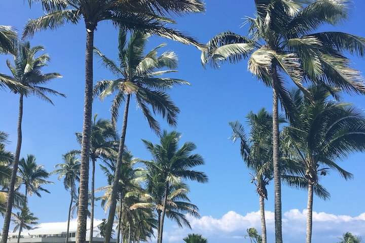 Property Grounds 97 of 111