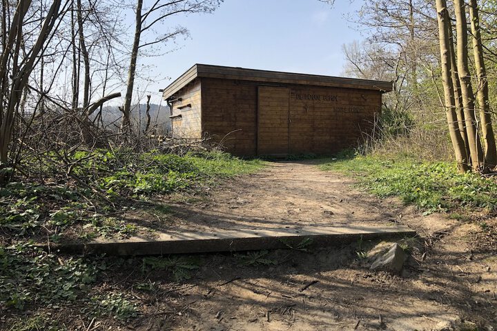Hiking