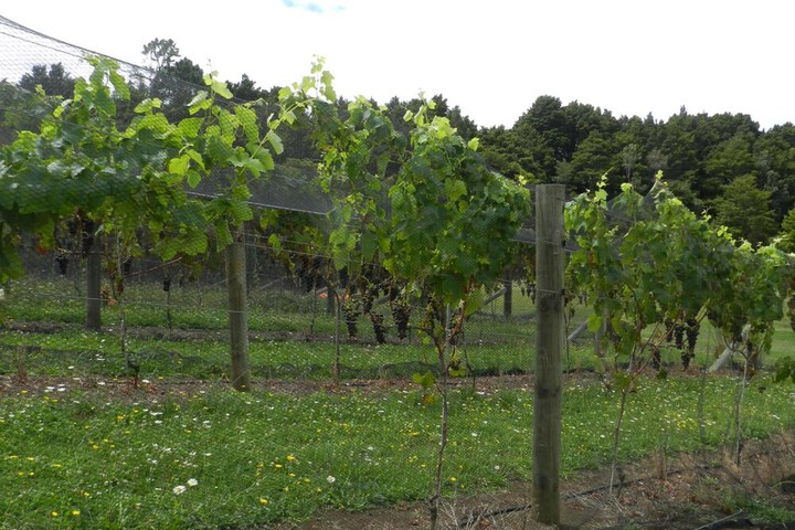 Property Grounds 28 of 45