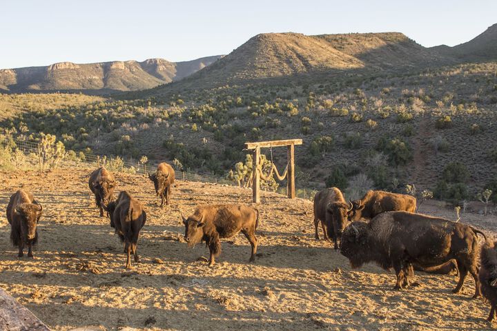 Property Grounds 54 of 66