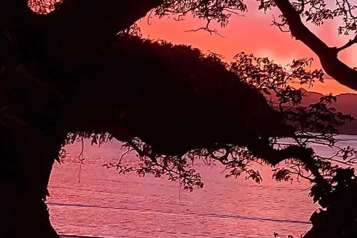 Beach 78 of 117