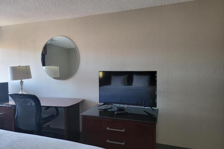 Suite Room