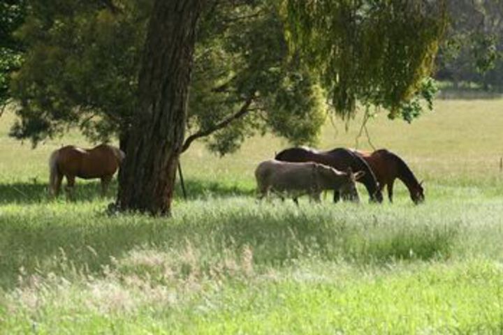 Property Grounds 24 of 27