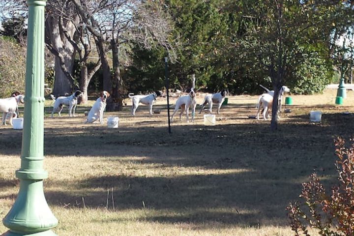 Property Grounds 23 of 29