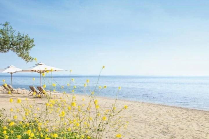 Beach 524 of 611