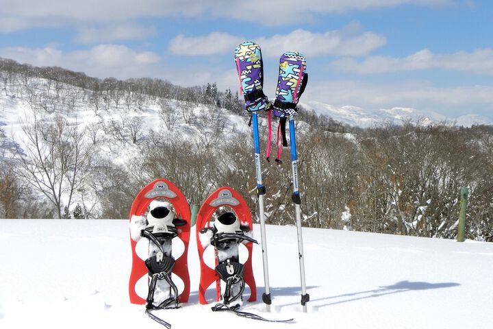 Skiing