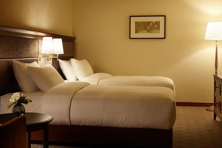 Room 62 of 223