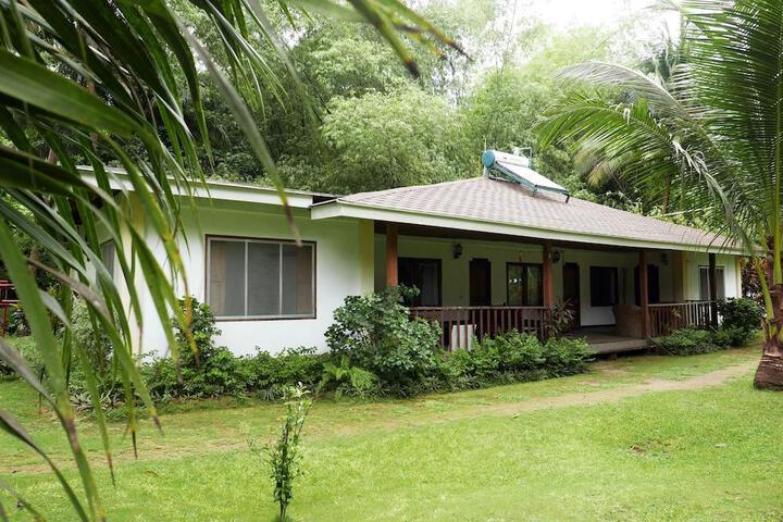 Photo 28