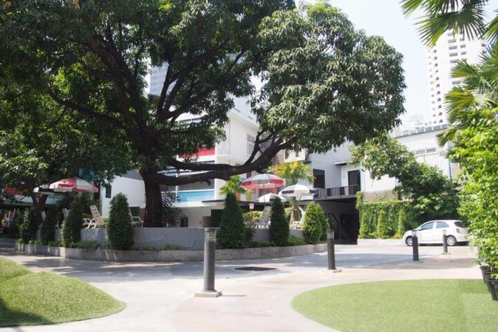 Photo 25