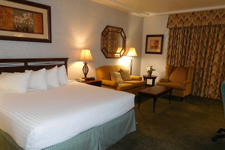 Deluxe King Bed (1 of 3)