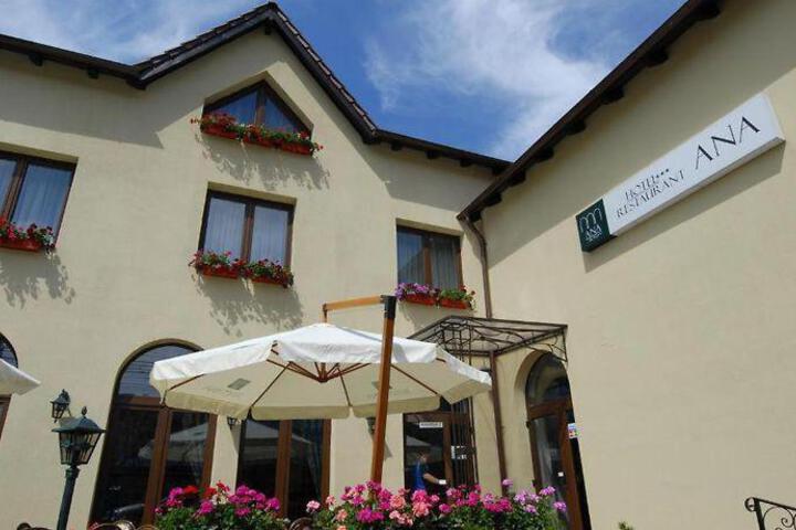 Hotel Ana