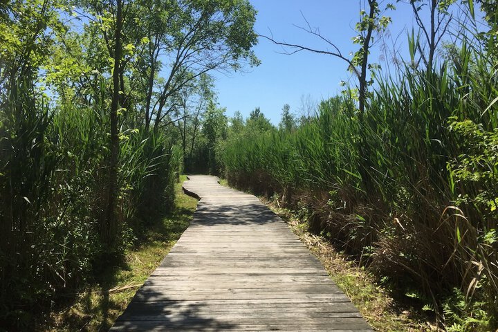 Hiking