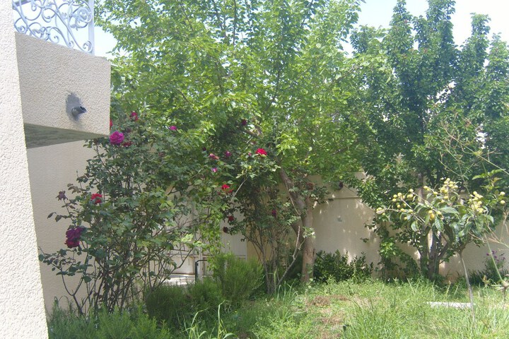 Hotel Exterior 16 of 19