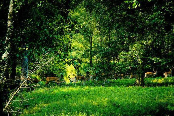 Property Grounds 51 of 62