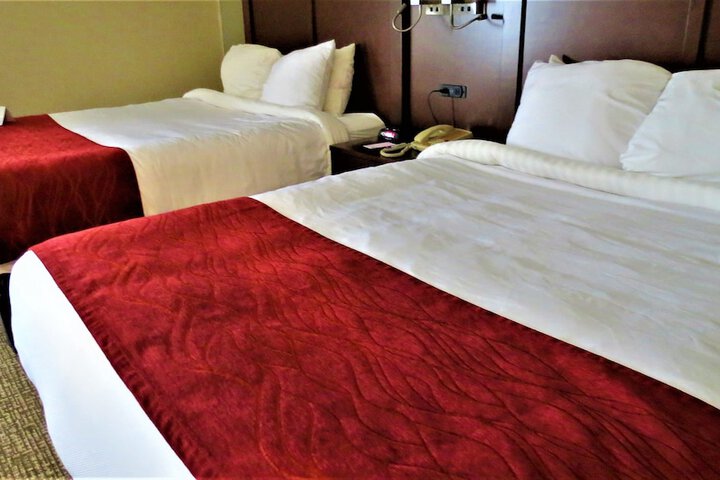 2 Queen Beds Accessible (3 of 20)