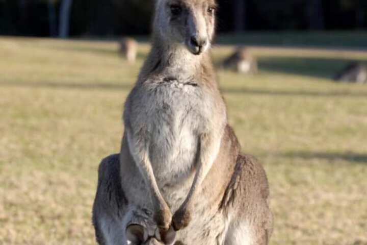 Property Grounds 16 of 21