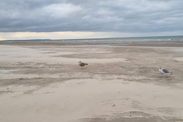 Beach 18 of 29