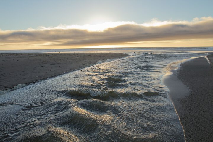 Beach 26 of 29