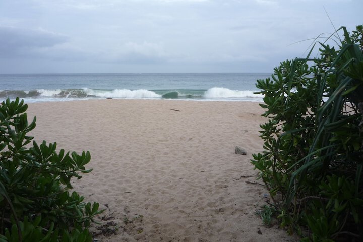 Beach 23 of 43