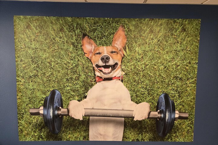 Fitness Club