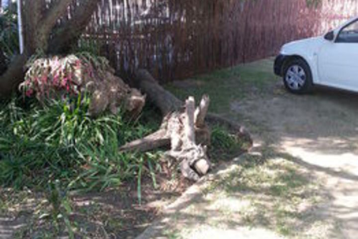 Property Grounds 24 of 26