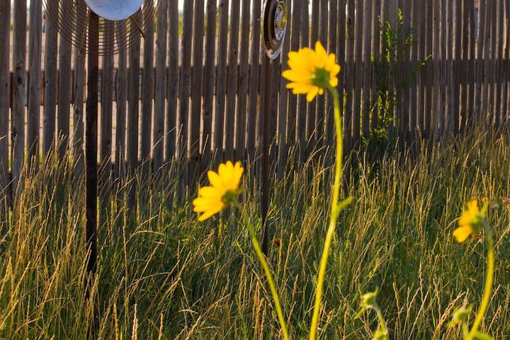 Hotel Exterior 37 of 41