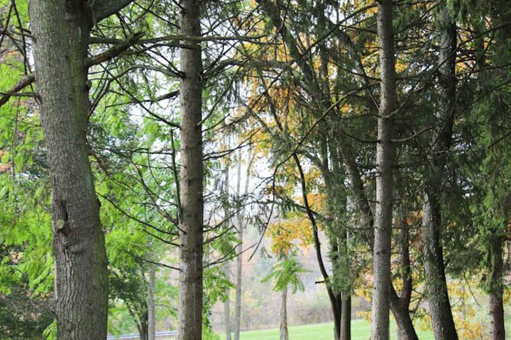 Property Grounds 15 of 24