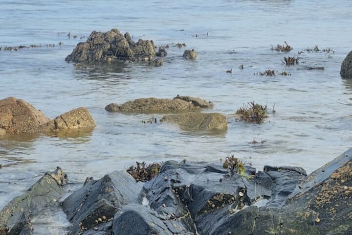 Beach 58 of 62