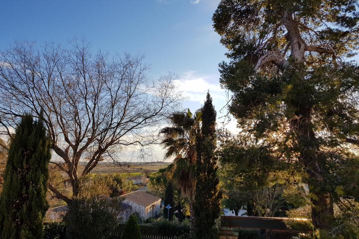Hotel View 11 of 11