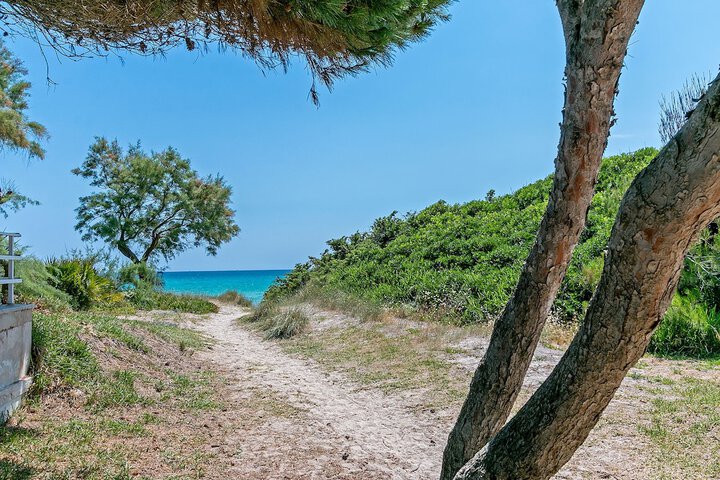 Beach 35 of 41