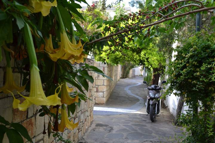 General 125 of 144