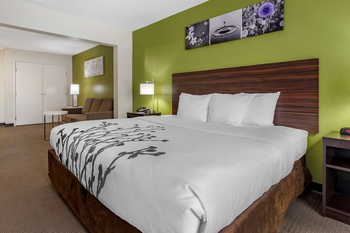 1 King Bed (7 of 17)