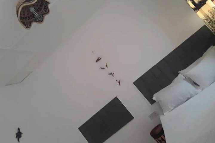 Room 5 of 12