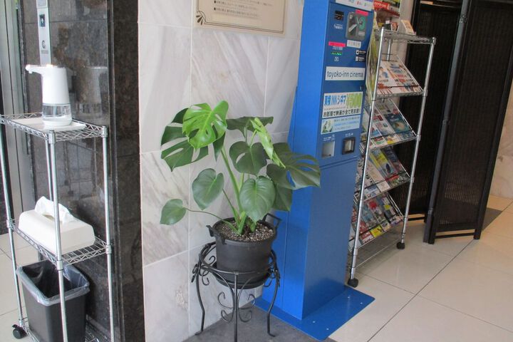 Entrance & Lobby