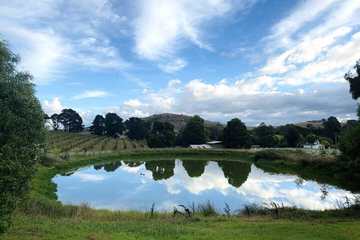 Land view from property