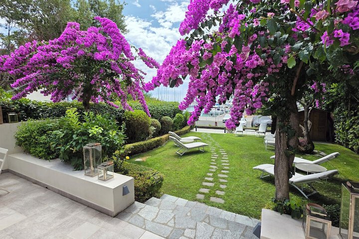Terrace/Patio 34 of 58