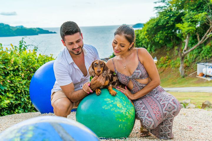 Pet Friendly 52 of 104