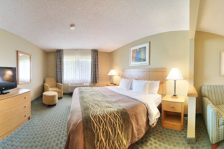 1 King Bed (7 of 15)