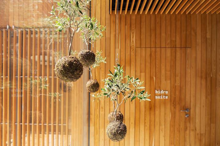 Wellness Treatments