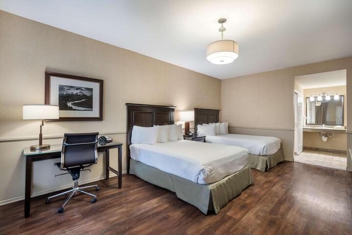Standard 2 Double Beds Accessible (1 of 6)