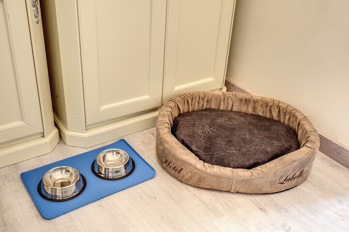 Pet Friendly 116 of 125