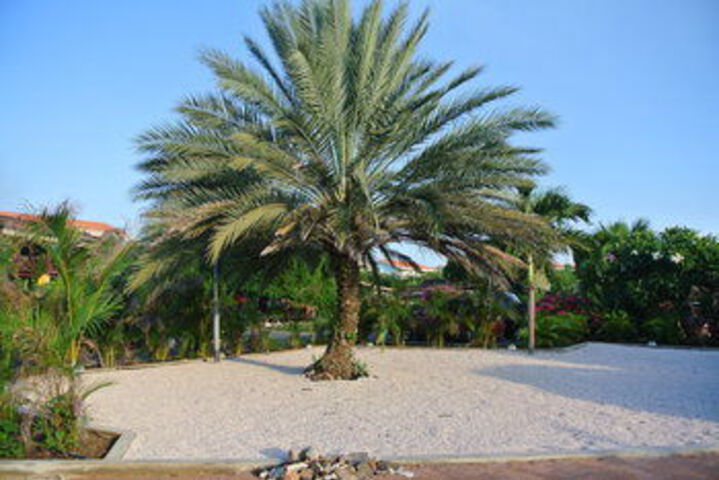 Property Grounds 15 of 19