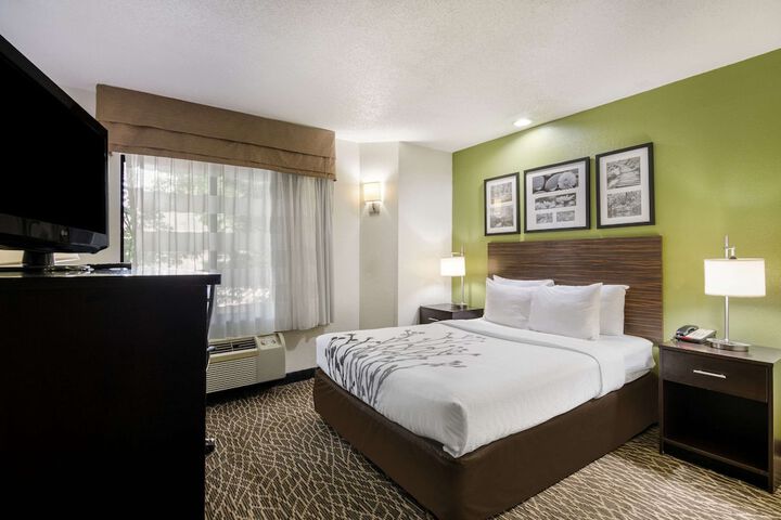 1 Queen Bed Accessible (4 of 12)